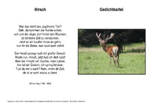 Hirsch-Hey.pdf